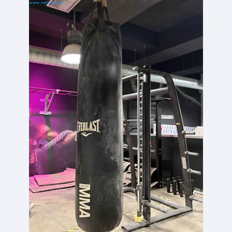 Vente aux enchères de matériel de fitness Technogym d'occasion - Appareils de fitness professionnels-9