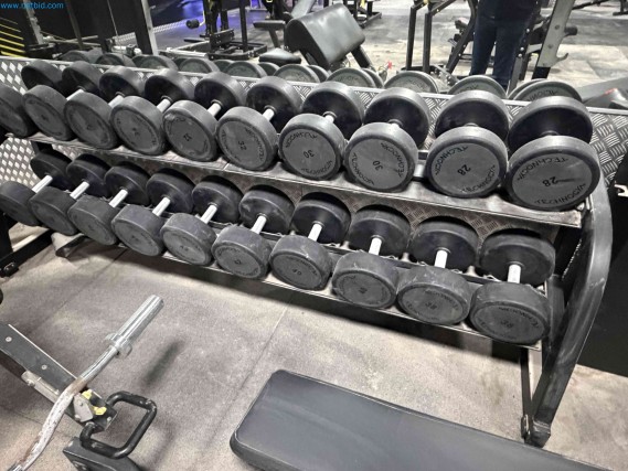 Subasta de Equipos de Gimnasio Technogym Usados – Máquinas Fitness Profesionales-3