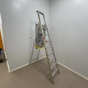 Folding ladder