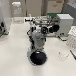 Mikroskop Zeiss