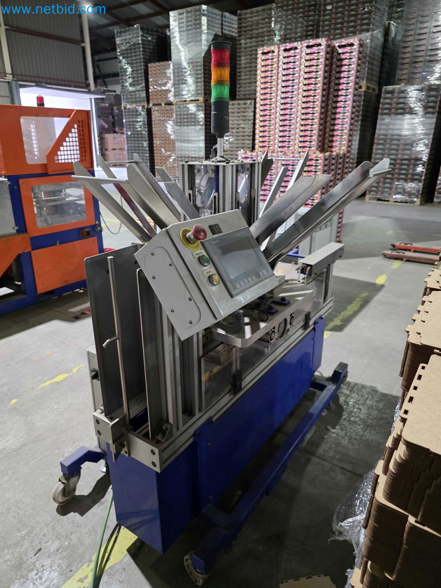 Likvidace podniku - Použité balicí stroje na balení ovoce a zeleniny (výrobní linka MDF)-6