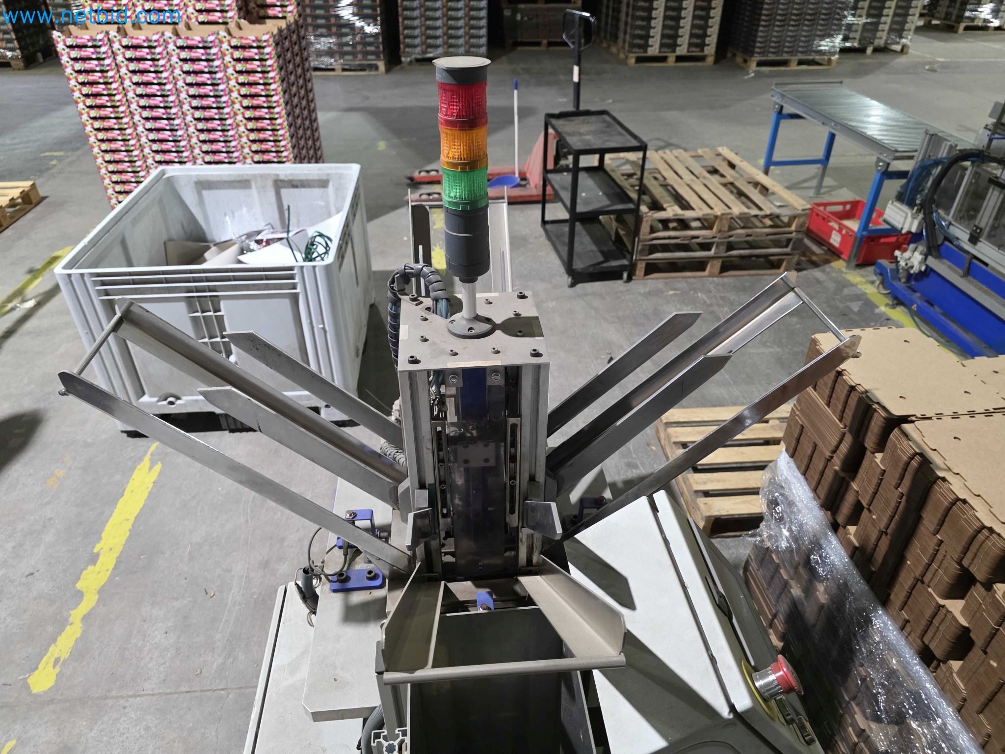 Likvidace podniku - Použité balicí stroje na balení ovoce a zeleniny (výrobní linka MDF)-8