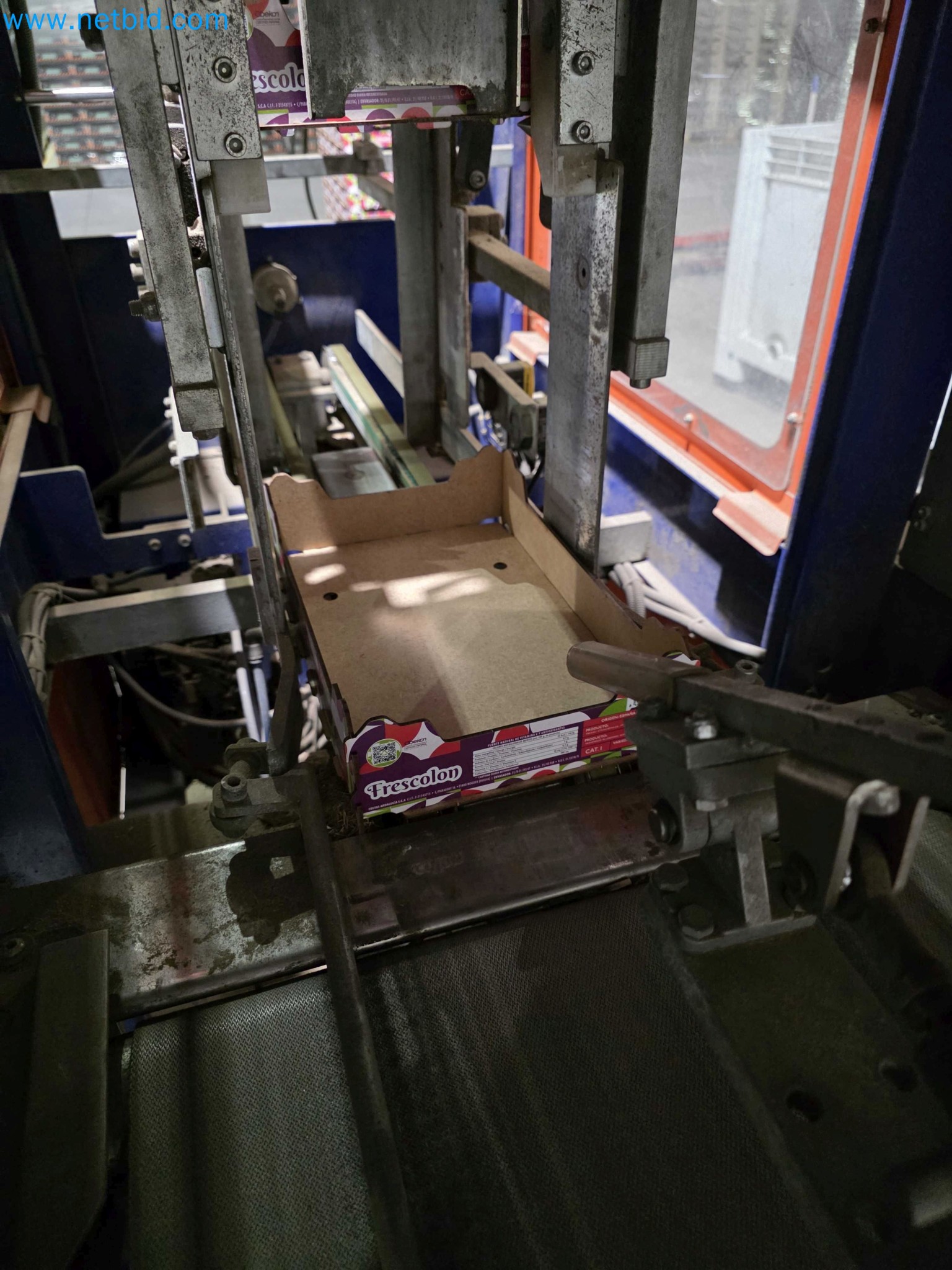 Likvidace podniku - Použité balicí stroje na balení ovoce a zeleniny (výrobní linka MDF)-16