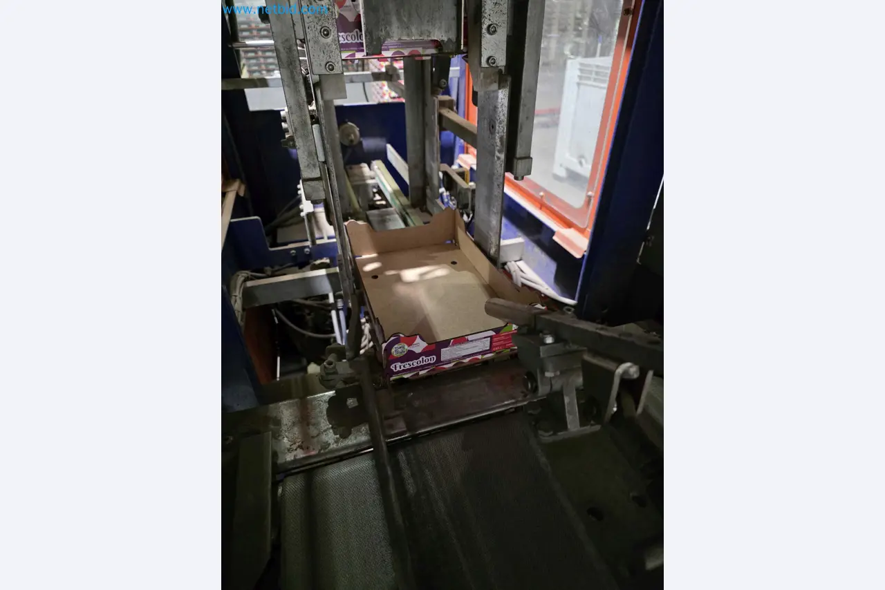 Likvidace podniku - Použité balicí stroje na balení ovoce a zeleniny (výrobní linka MDF)-16