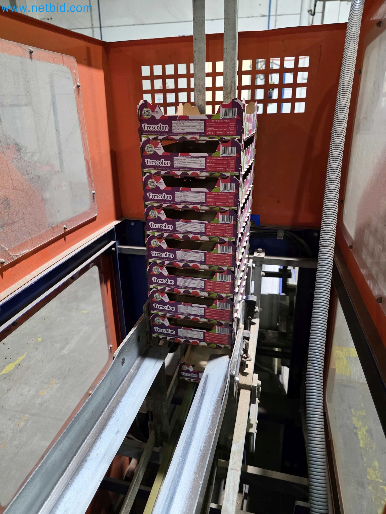 Likvidace podniku - Použité balicí stroje na balení ovoce a zeleniny (výrobní linka MDF)-17