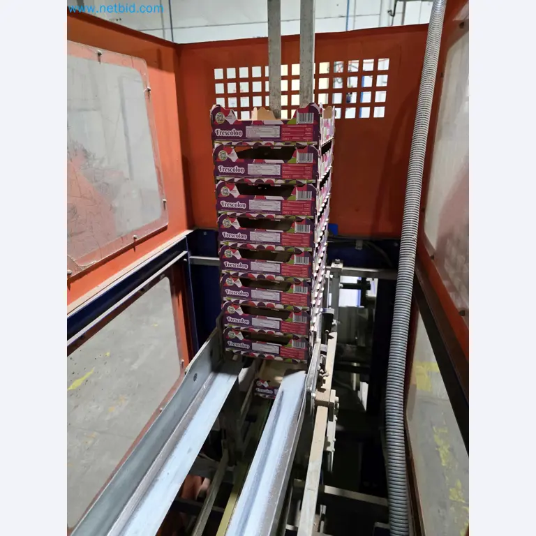 Likvidace podniku - Použité balicí stroje na balení ovoce a zeleniny (výrobní linka MDF)-17