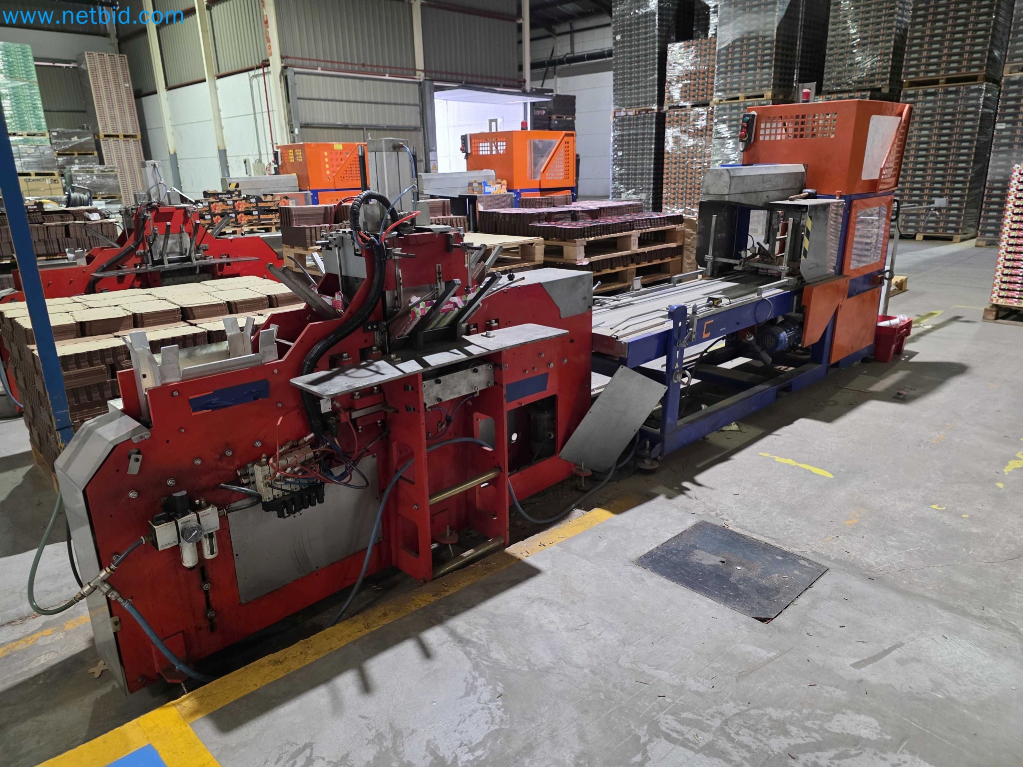 Likvidace podniku - Použité balicí stroje na balení ovoce a zeleniny (výrobní linka MDF)-3