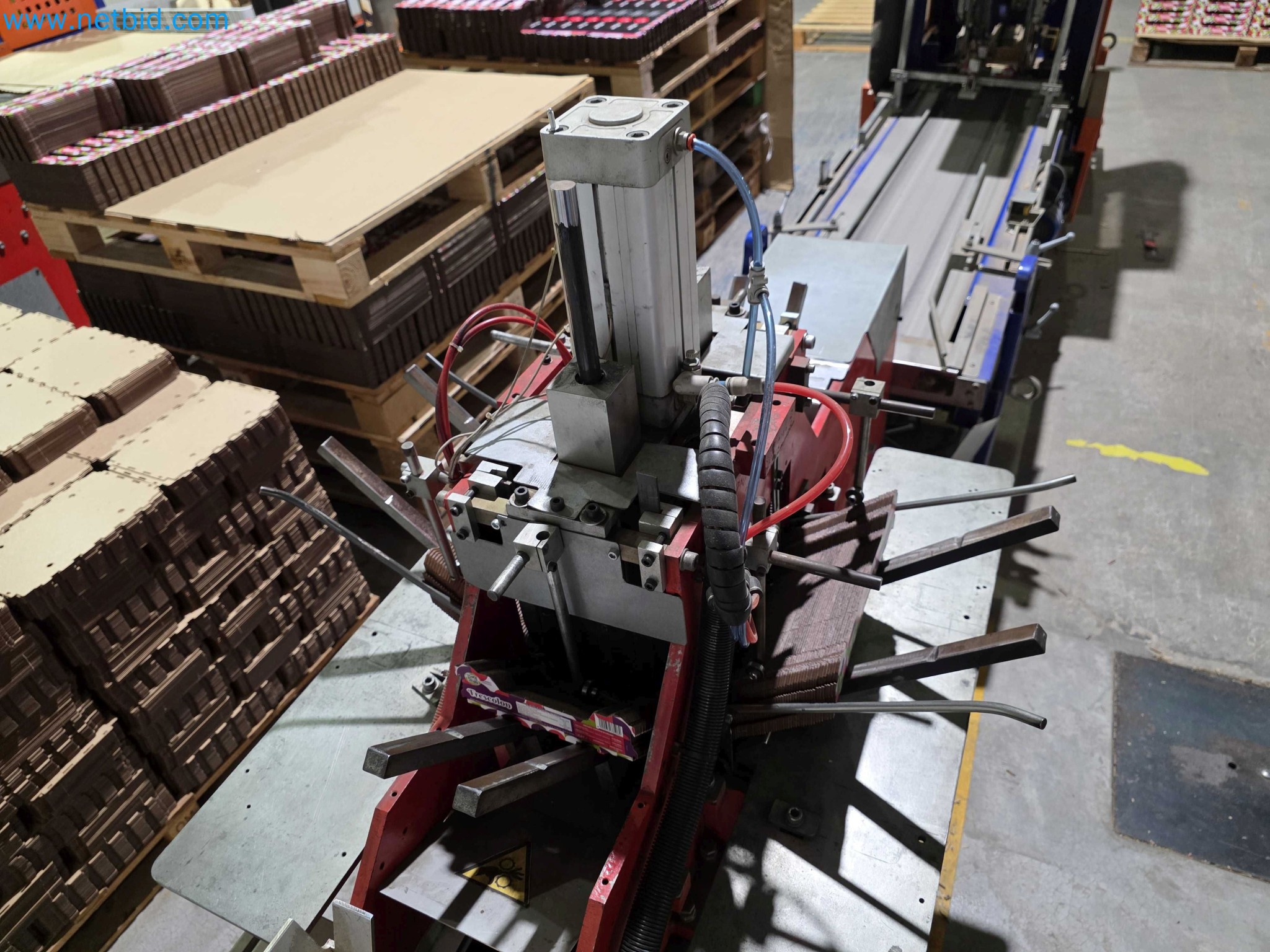 Likvidace podniku - Použité balicí stroje na balení ovoce a zeleniny (výrobní linka MDF)-6