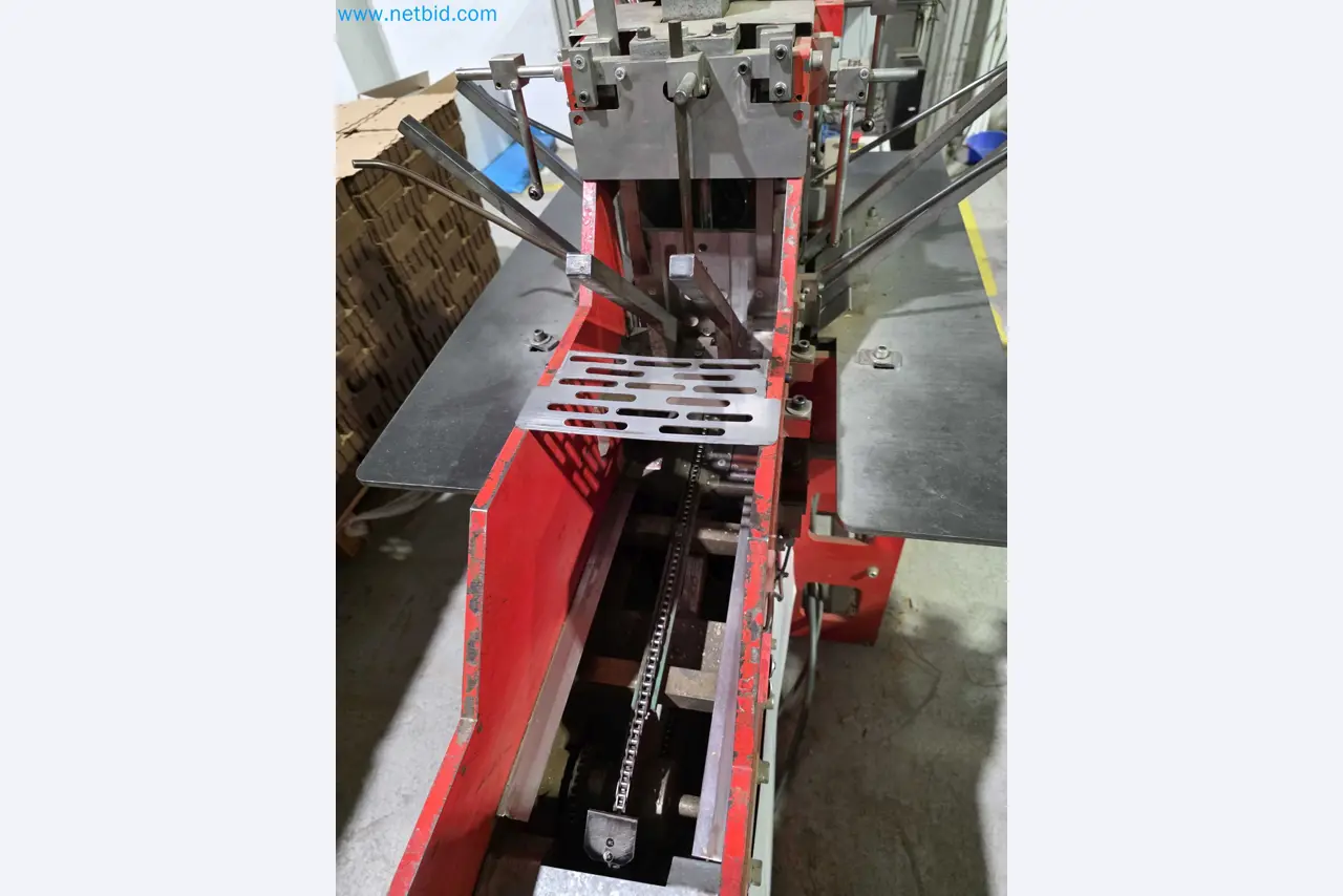 Betriebsauflösung – Gebrauchte Verpackungsmaschinen für Obst- und Gemüseverpackung (MDF Produktionslinie)-11