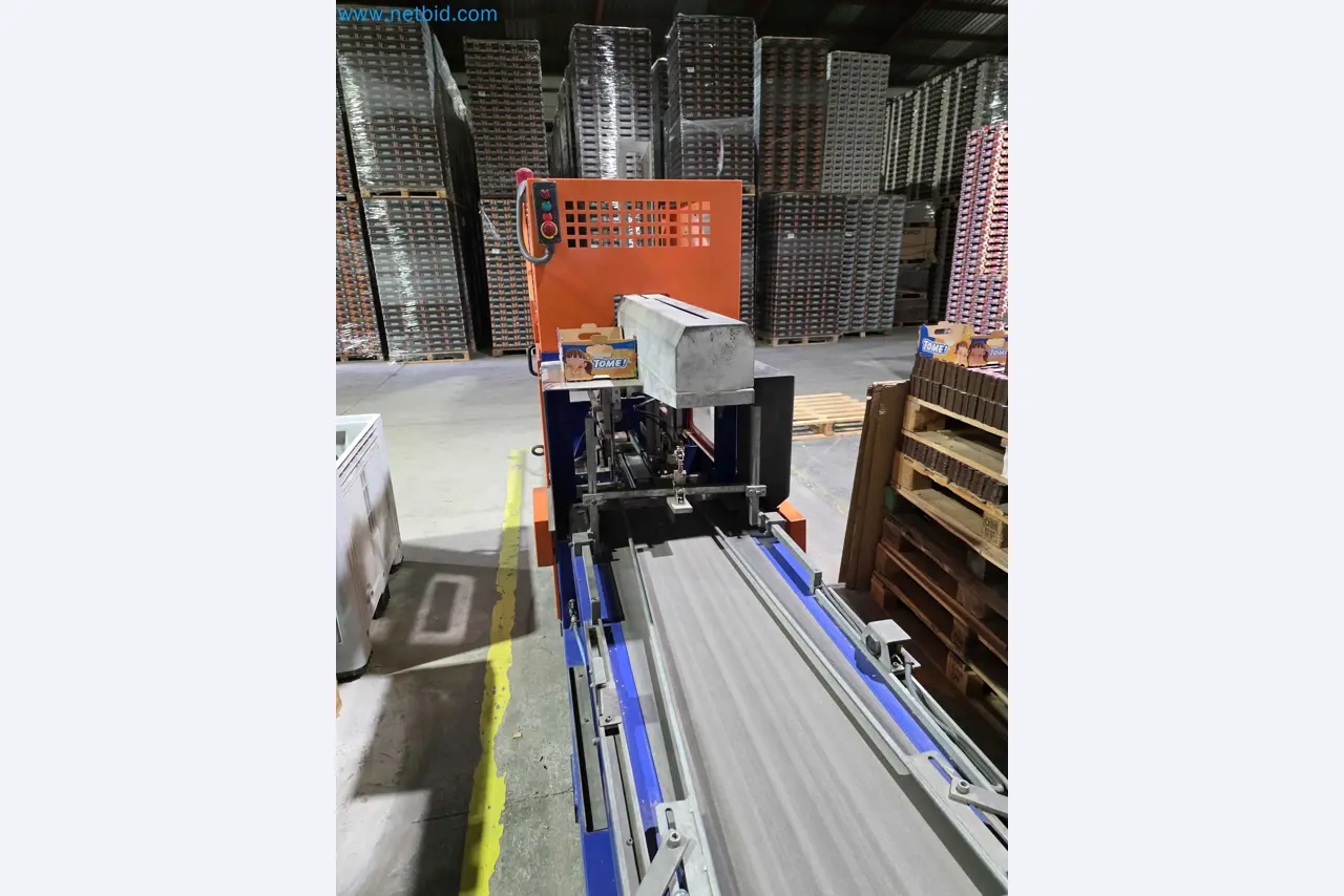 Betriebsauflösung – Gebrauchte Verpackungsmaschinen für Obst- und Gemüseverpackung (MDF Produktionslinie)-12