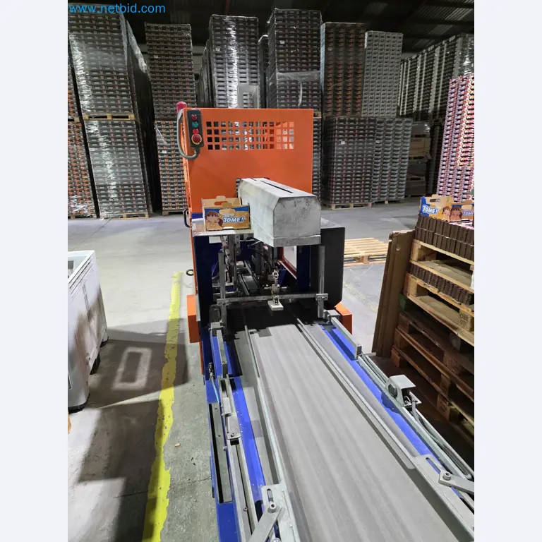 Betriebsauflösung – Gebrauchte Verpackungsmaschinen für Obst- und Gemüseverpackung (MDF Produktionslinie)-12