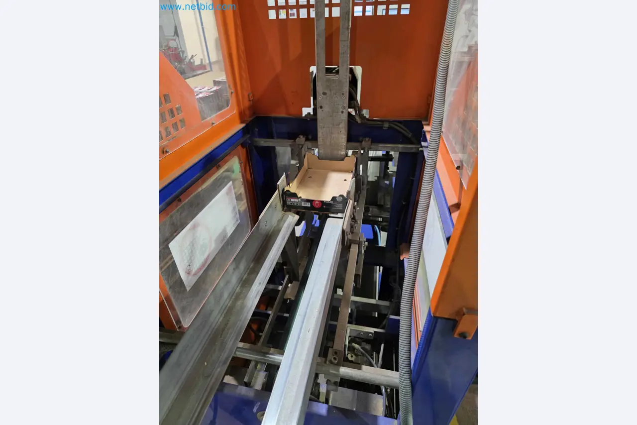 Betriebsauflösung – Gebrauchte Verpackungsmaschinen für Obst- und Gemüseverpackung (MDF Produktionslinie)-17