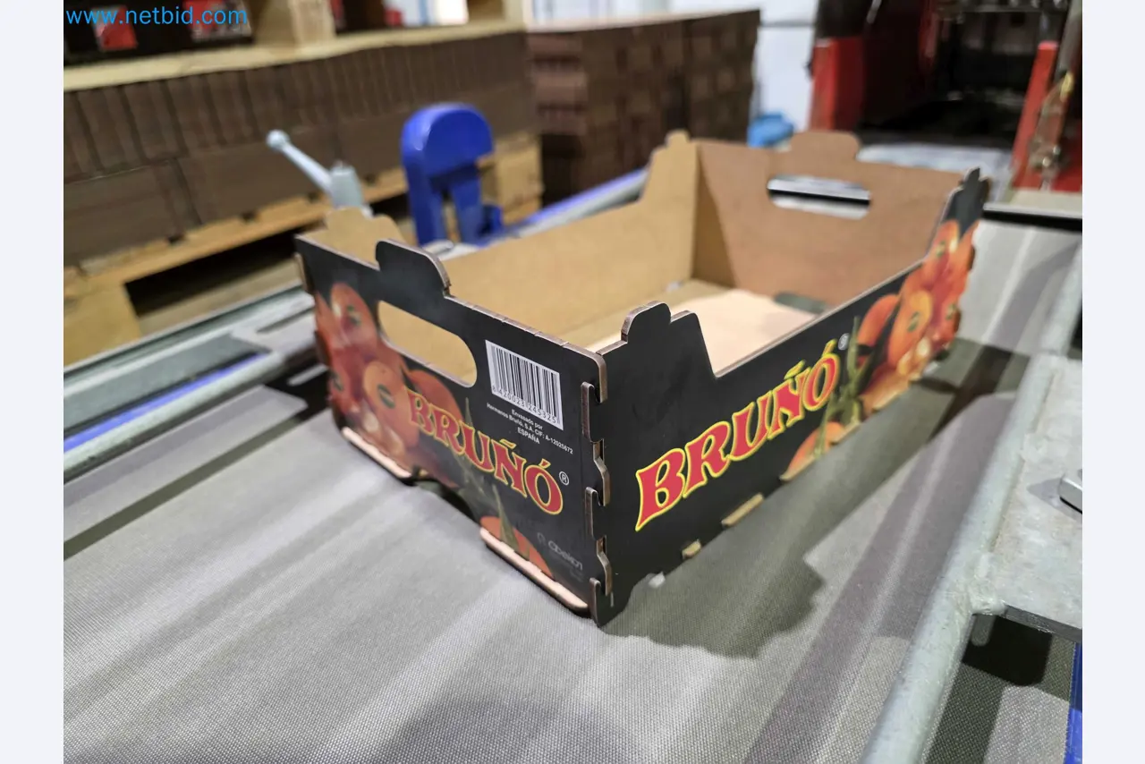 Betriebsauflösung – Gebrauchte Verpackungsmaschinen für Obst- und Gemüseverpackung (MDF Produktionslinie)-18