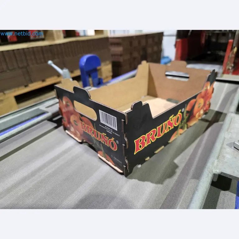 Betriebsauflösung – Gebrauchte Verpackungsmaschinen für Obst- und Gemüseverpackung (MDF Produktionslinie)-18