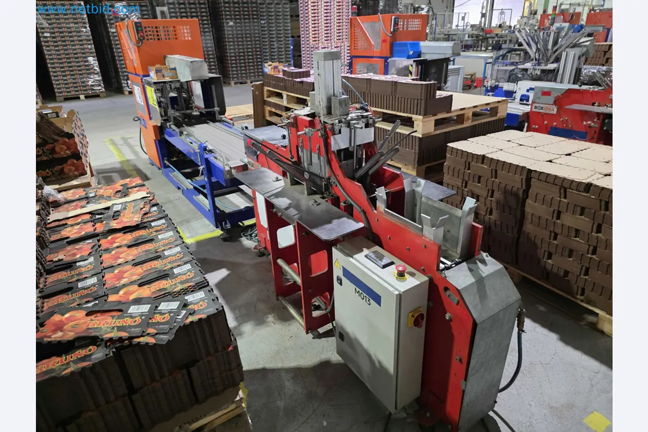 Betriebsauflösung – Gebrauchte Verpackungsmaschinen für Obst- und Gemüseverpackung (MDF Produktionslinie)-1