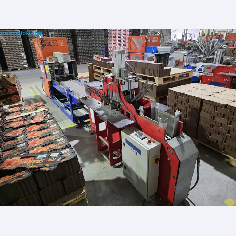 Betriebsauflösung – Gebrauchte Verpackungsmaschinen für Obst- und Gemüseverpackung (MDF Produktionslinie)-1
