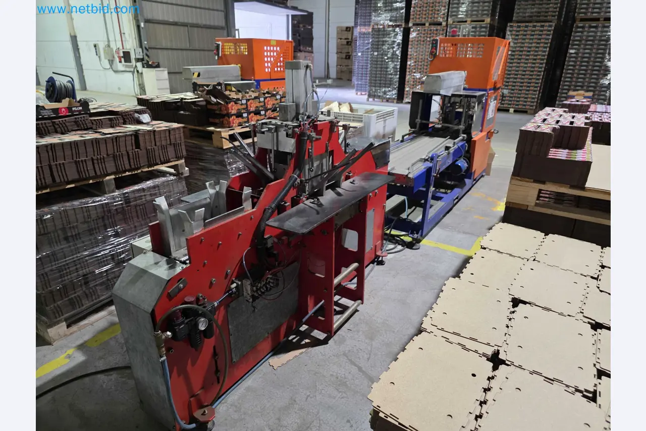 Betriebsauflösung – Gebrauchte Verpackungsmaschinen für Obst- und Gemüseverpackung (MDF Produktionslinie)-2