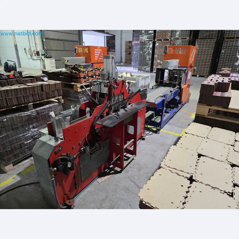 Betriebsauflösung – Gebrauchte Verpackungsmaschinen für Obst- und Gemüseverpackung (MDF Produktionslinie)-2