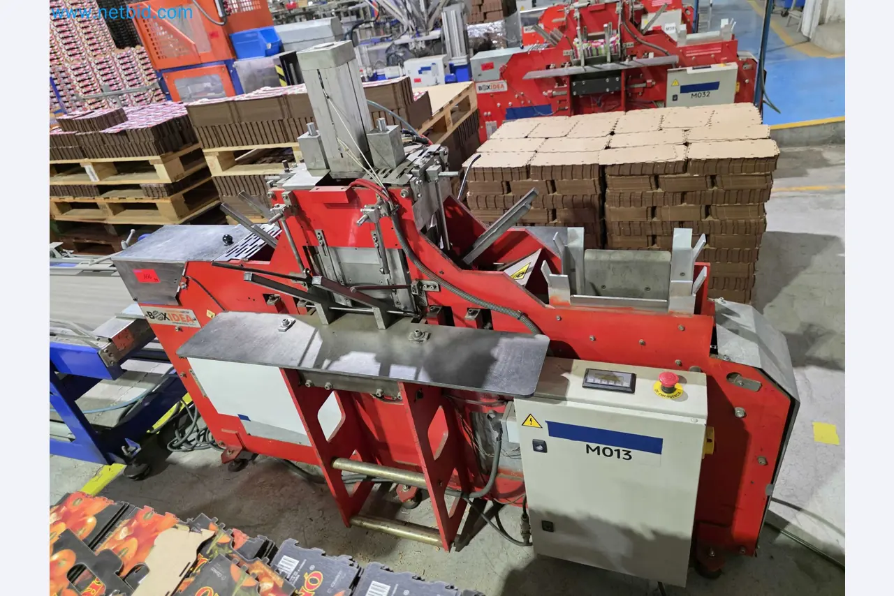 Betriebsauflösung – Gebrauchte Verpackungsmaschinen für Obst- und Gemüseverpackung (MDF Produktionslinie)-7