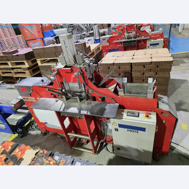 Betriebsauflösung – Gebrauchte Verpackungsmaschinen für Obst- und Gemüseverpackung (MDF Produktionslinie)-7