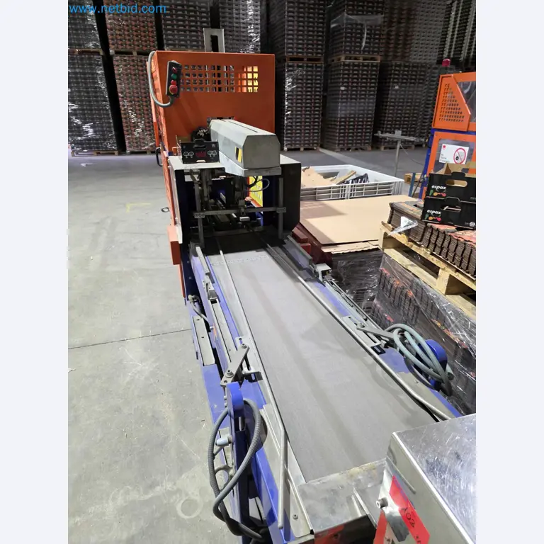 Subasta por Cierre de Fábrica – Maquinaria de Embalaje Usada para Frutas y Verduras (Línea de Producción MDF)-12