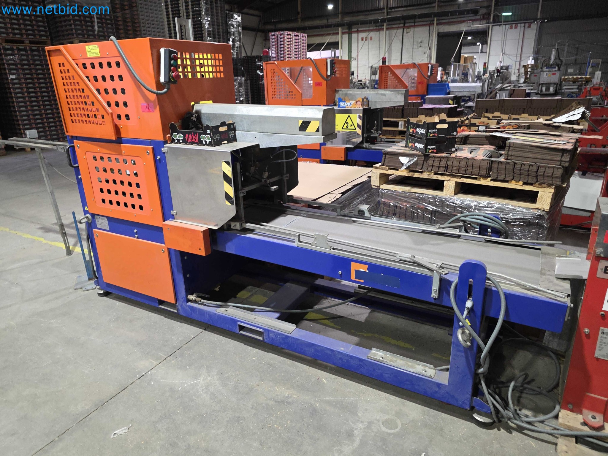 Factory Closure Auction – Used Packaging Machinery for Fresh Produce (MDF / Wood Fiber) Packaging Production Line-4