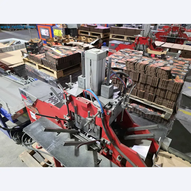 Subasta por Cierre de Fábrica – Maquinaria de Embalaje Usada para Frutas y Verduras (Línea de Producción MDF)-5