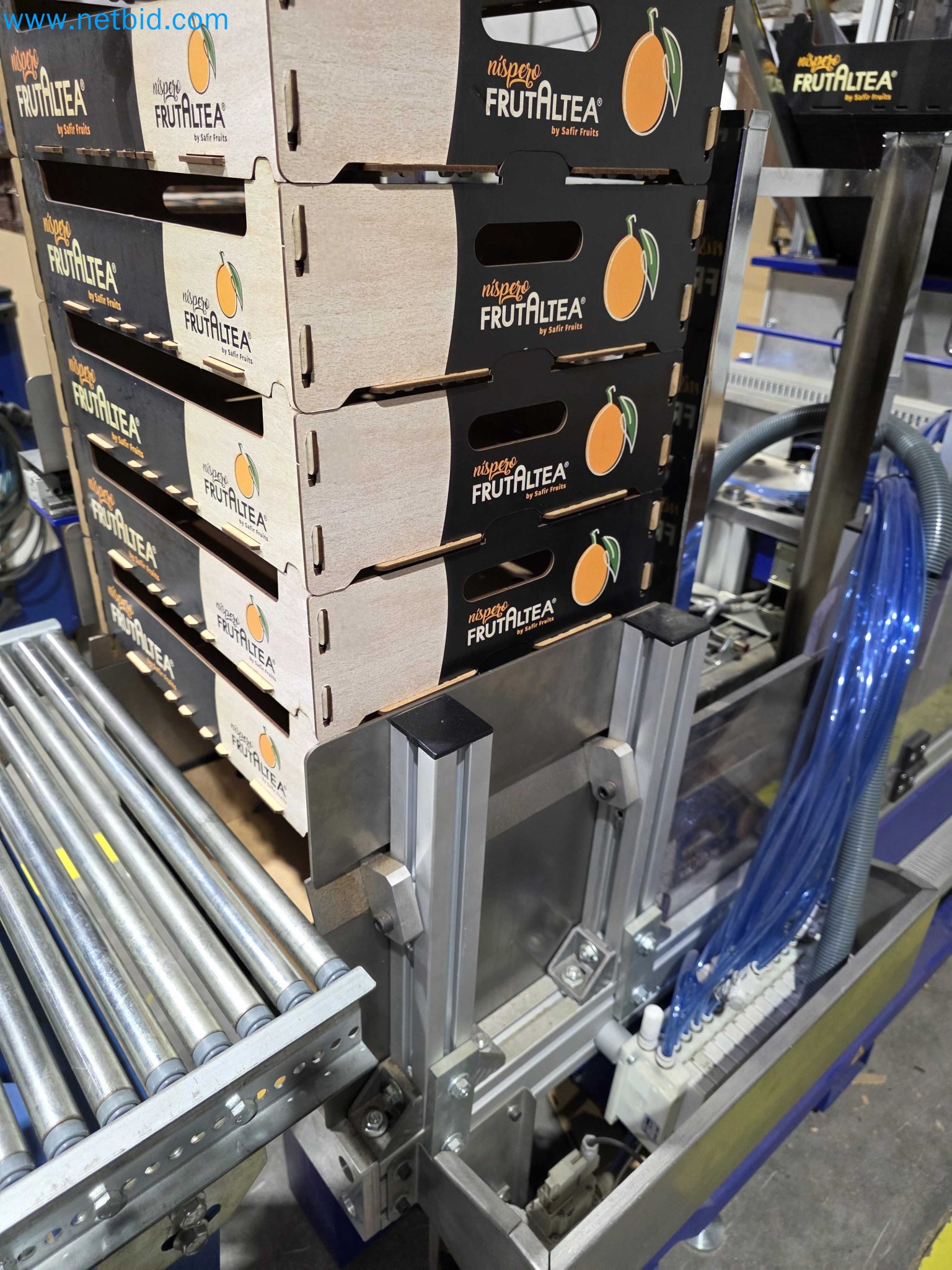 Likvidace podniku - Použité balicí stroje na balení ovoce a zeleniny (výrobní linka MDF)-19