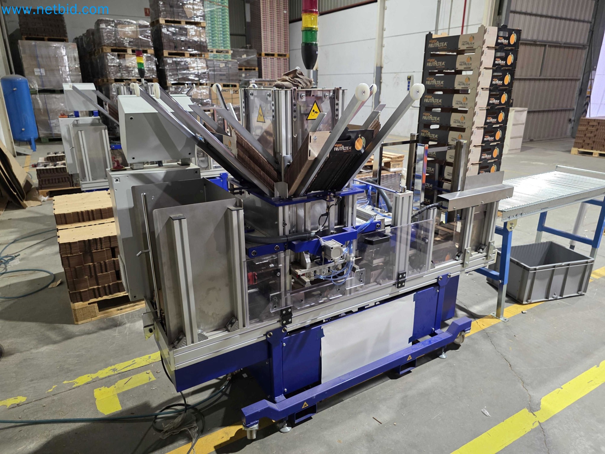 Likvidace podniku - Použité balicí stroje na balení ovoce a zeleniny (výrobní linka MDF)-4