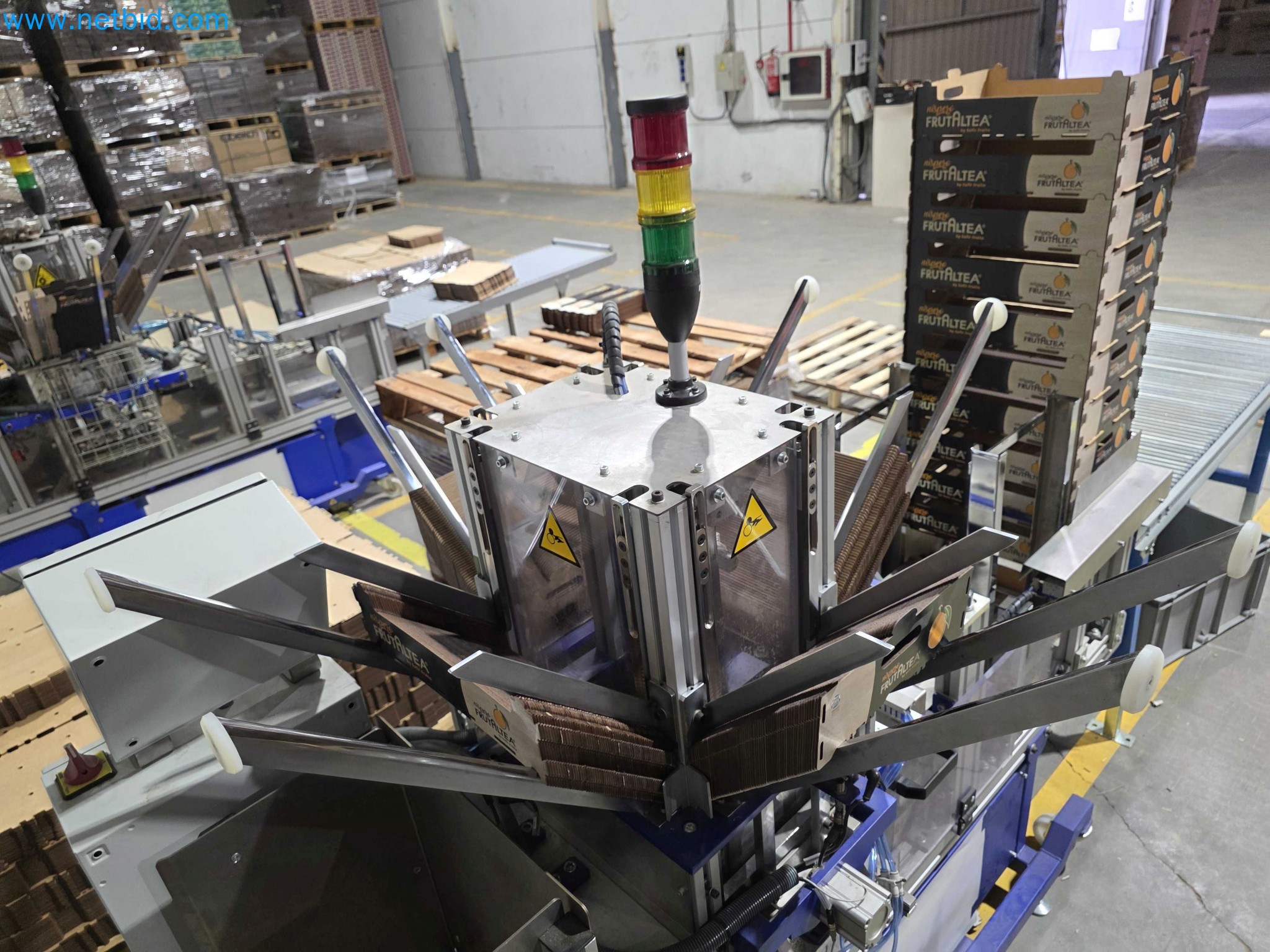 Likvidace podniku - Použité balicí stroje na balení ovoce a zeleniny (výrobní linka MDF)-6