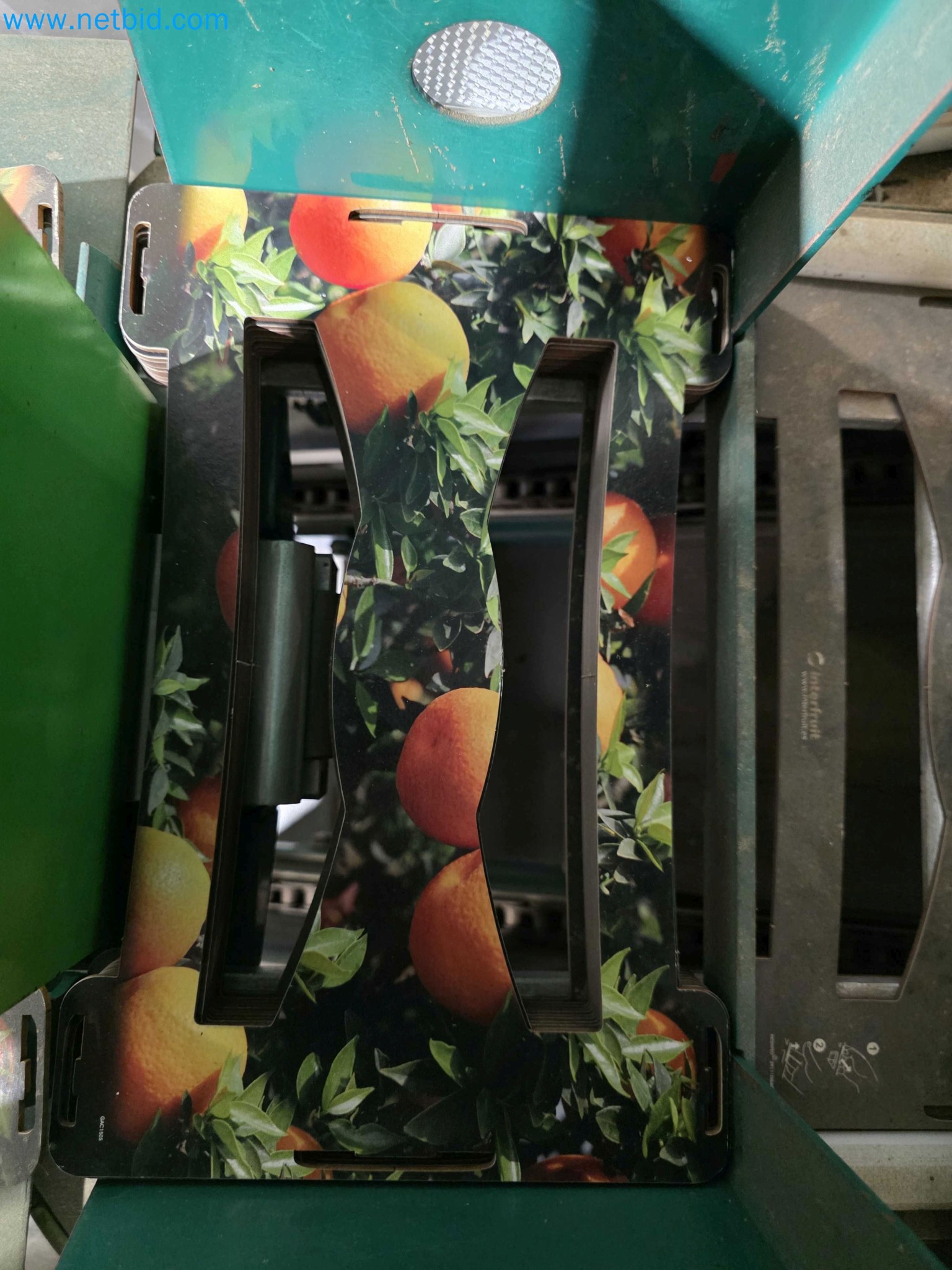 Likvidace podniku - Použité balicí stroje na balení ovoce a zeleniny (výrobní linka MDF)-10