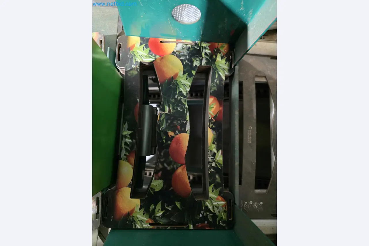 Betriebsauflösung – Gebrauchte Verpackungsmaschinen für Obst- und Gemüseverpackung (MDF Produktionslinie)-10