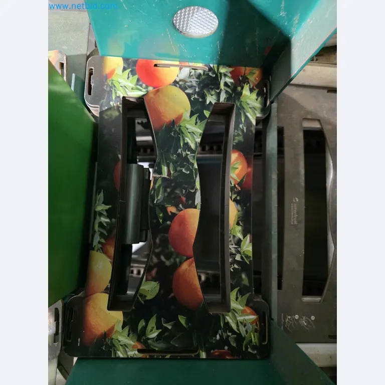 Betriebsauflösung – Gebrauchte Verpackungsmaschinen für Obst- und Gemüseverpackung (MDF Produktionslinie)-10