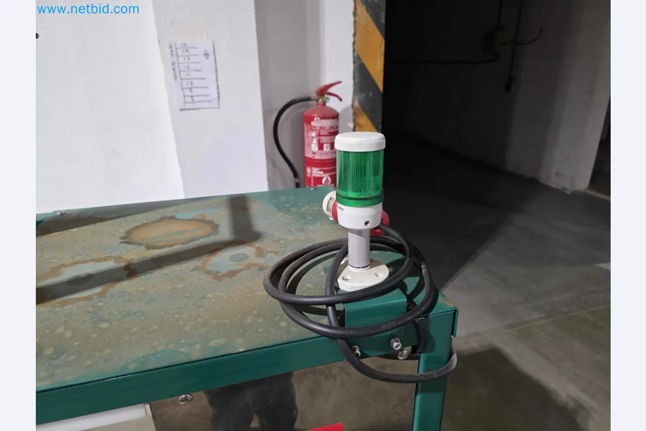 Betriebsauflösung – Gebrauchte Verpackungsmaschinen für Obst- und Gemüseverpackung (MDF Produktionslinie)-6