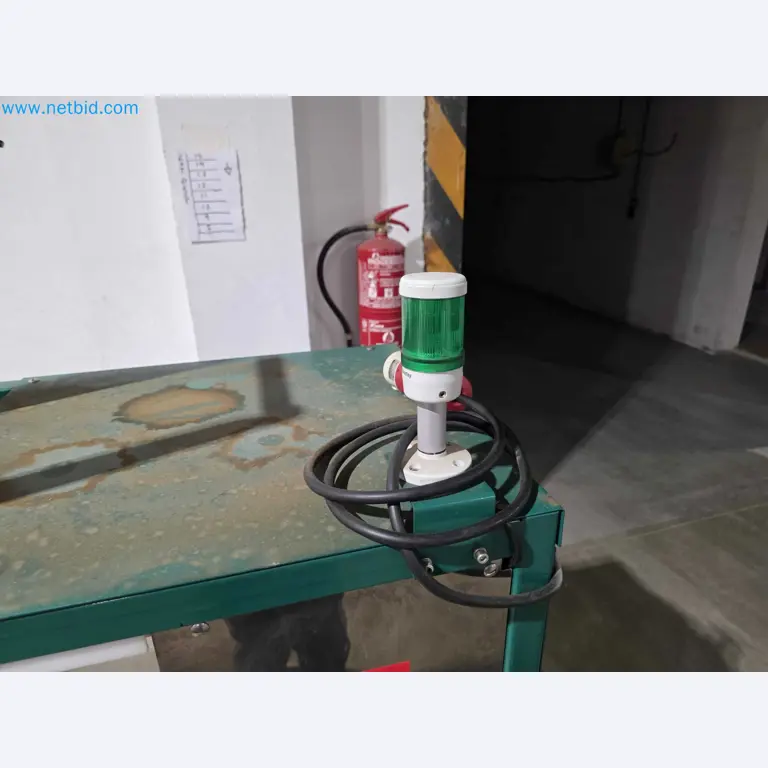 Betriebsauflösung – Gebrauchte Verpackungsmaschinen für Obst- und Gemüseverpackung (MDF Produktionslinie)-6