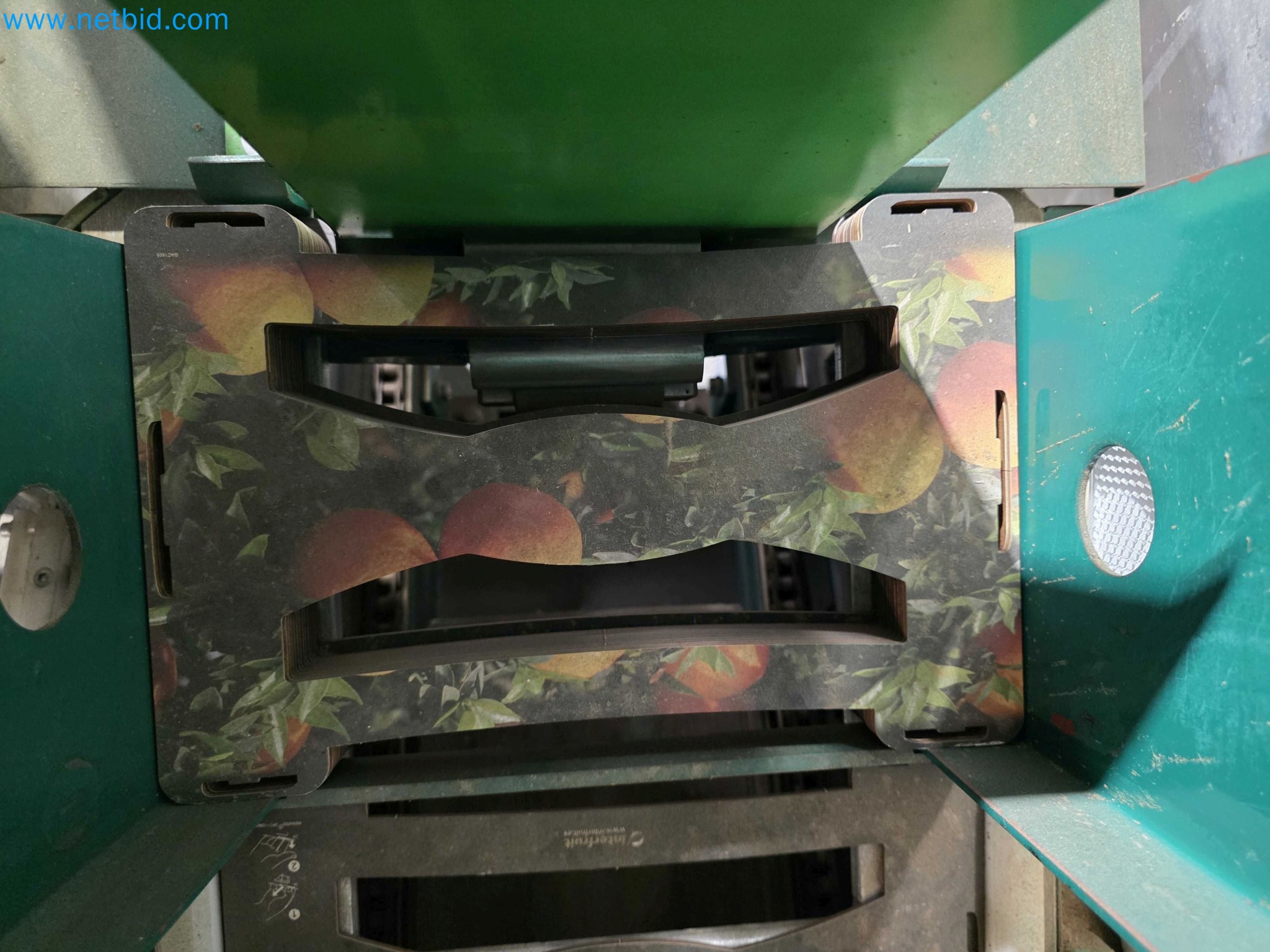 Likvidace podniku - Použité balicí stroje na balení ovoce a zeleniny (výrobní linka MDF)-9