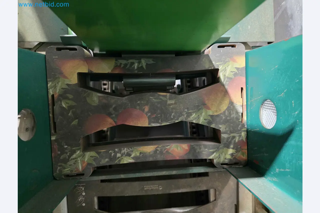 Betriebsauflösung – Gebrauchte Verpackungsmaschinen für Obst- und Gemüseverpackung (MDF Produktionslinie)-9