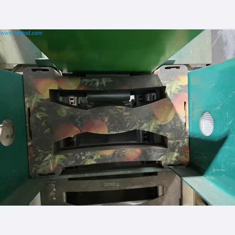 Betriebsauflösung – Gebrauchte Verpackungsmaschinen für Obst- und Gemüseverpackung (MDF Produktionslinie)-9