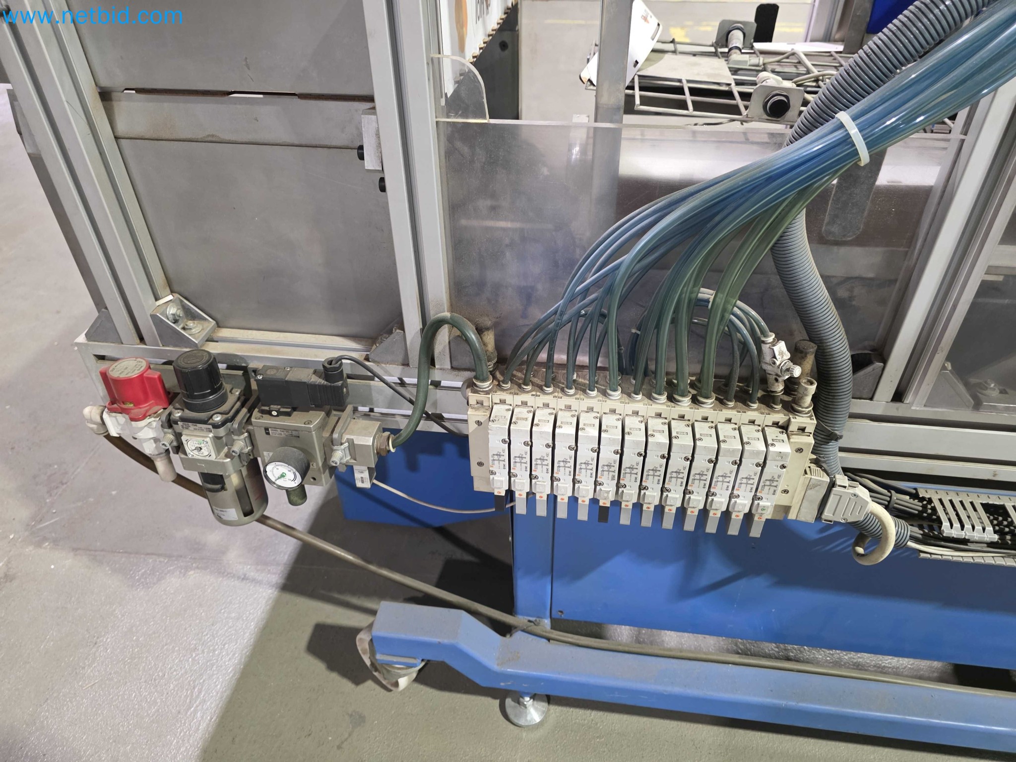 Likvidace podniku - Použité balicí stroje na balení ovoce a zeleniny (výrobní linka MDF)-17