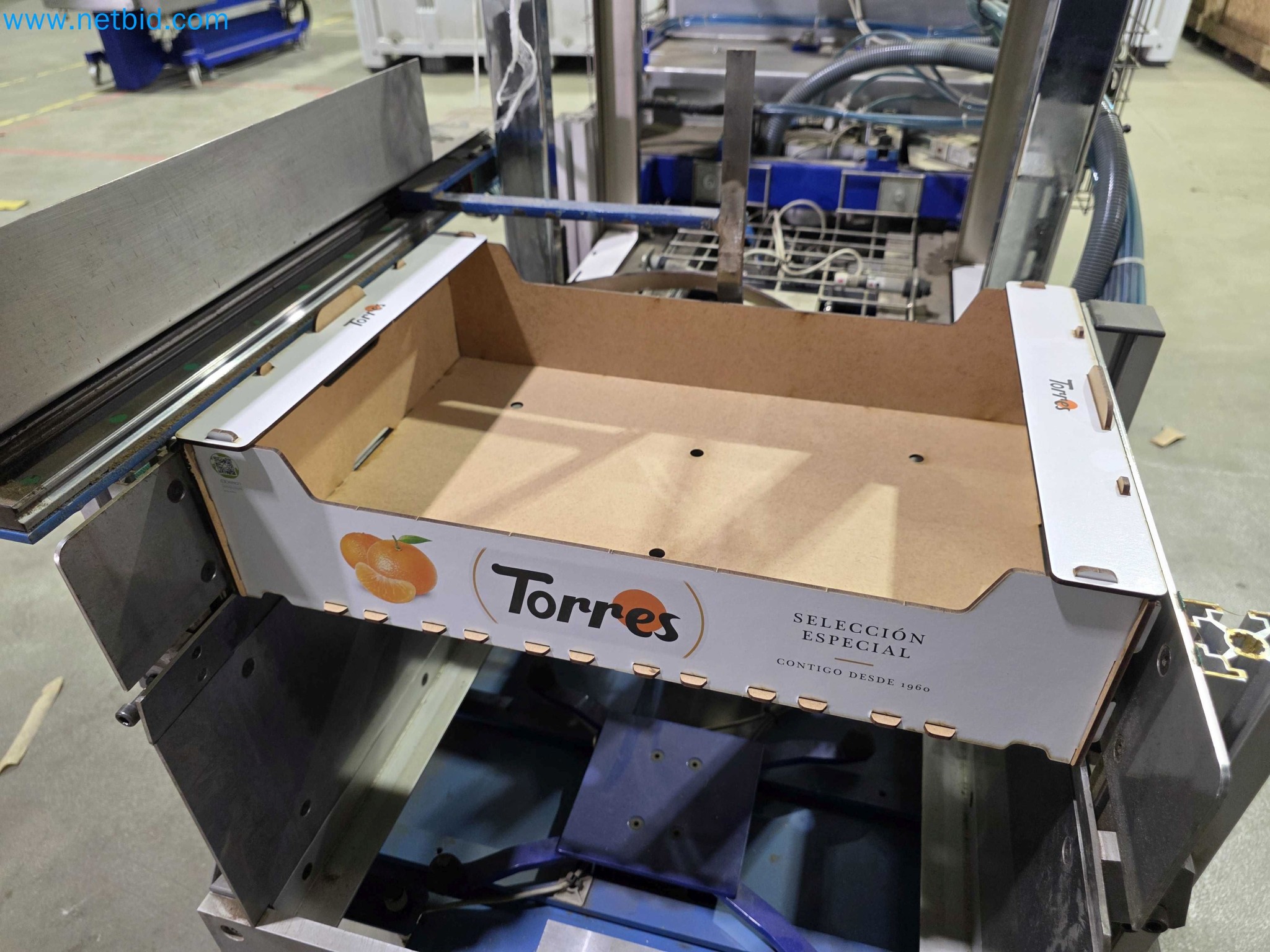 Likvidace podniku - Použité balicí stroje na balení ovoce a zeleniny (výrobní linka MDF)-18