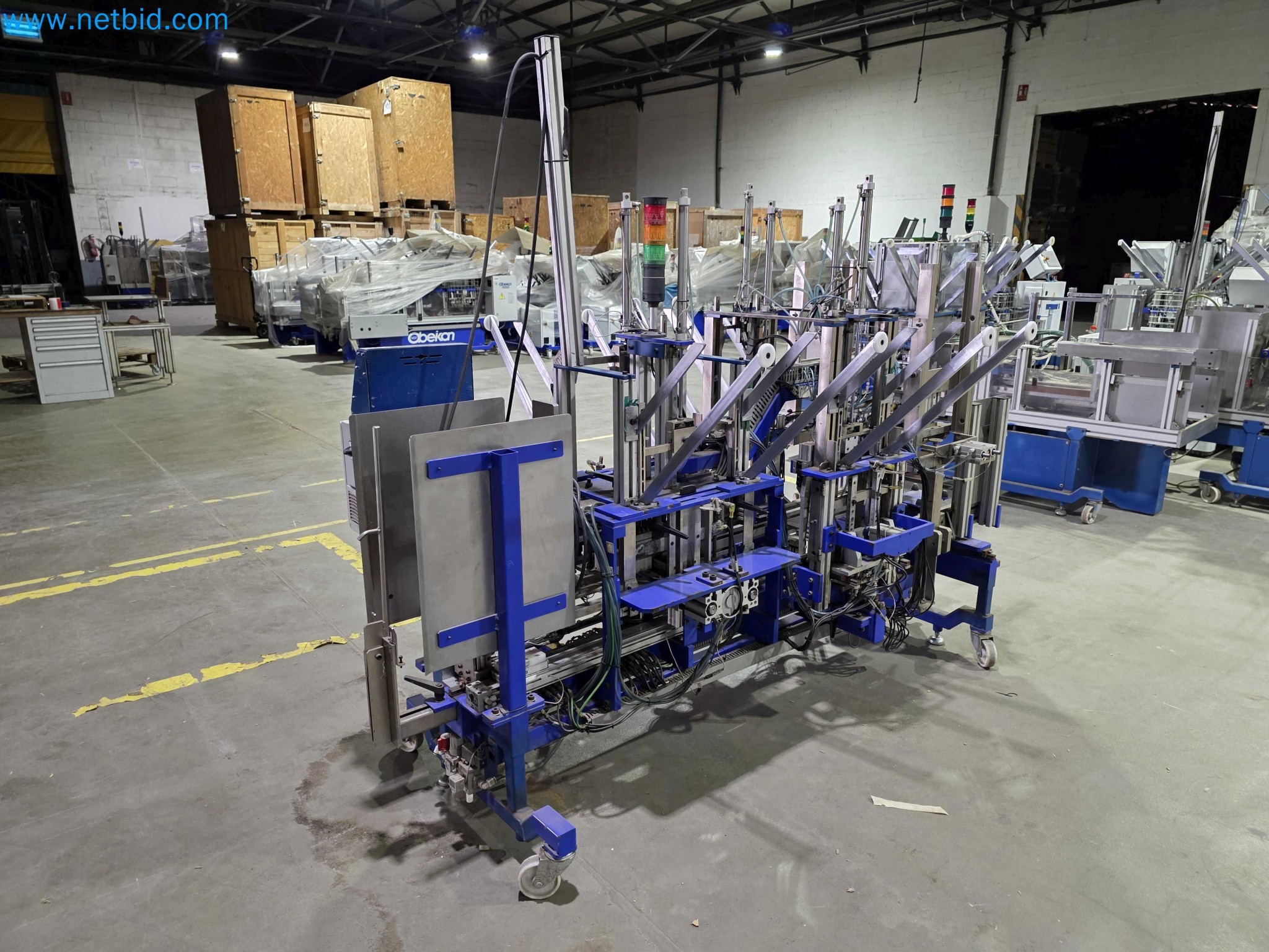 Likvidace podniku - Použité balicí stroje na balení ovoce a zeleniny (výrobní linka MDF)-5