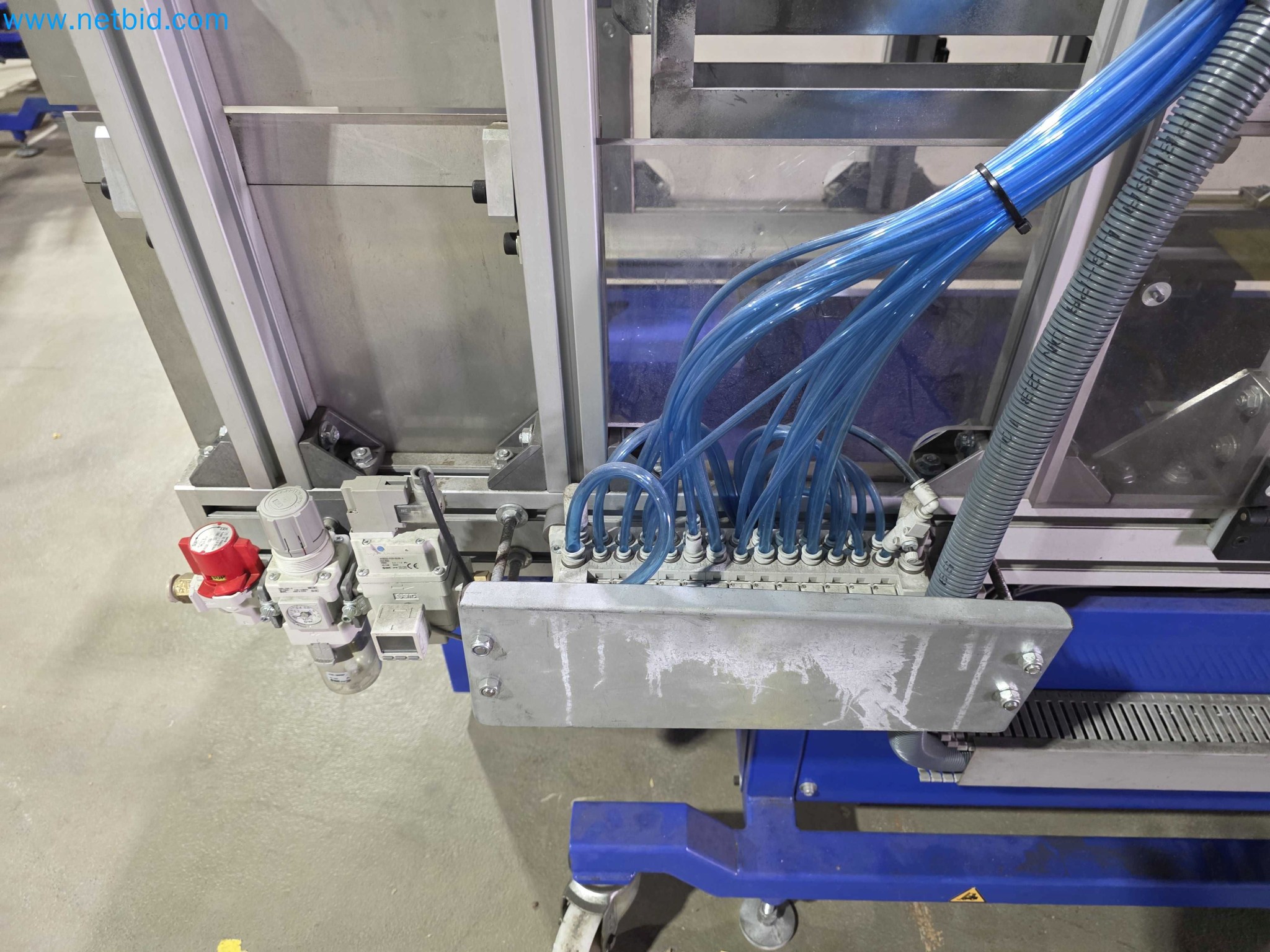 Likvidace podniku - Použité balicí stroje na balení ovoce a zeleniny (výrobní linka MDF)-6