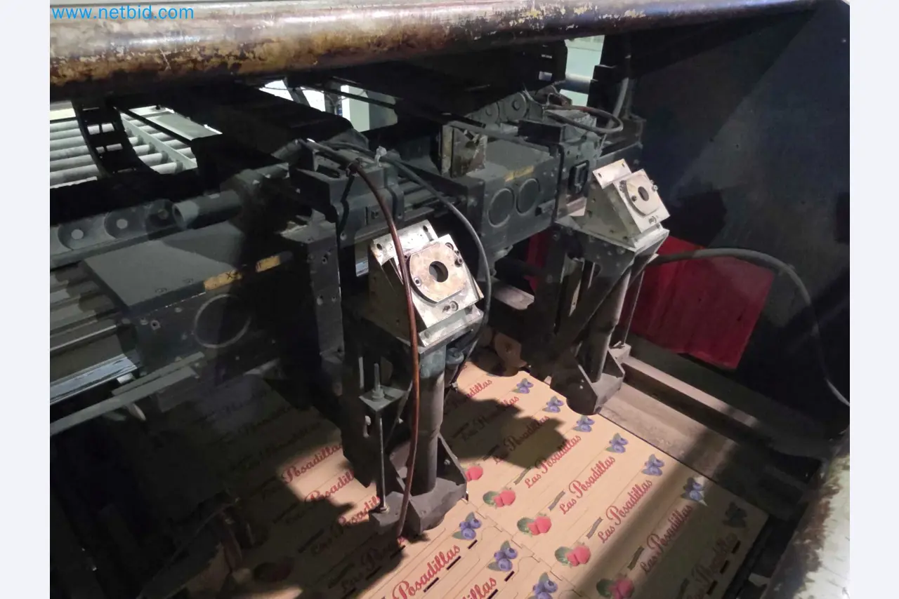 Likvidace podniku - Použité balicí stroje na balení ovoce a zeleniny (výrobní linka MDF)-6