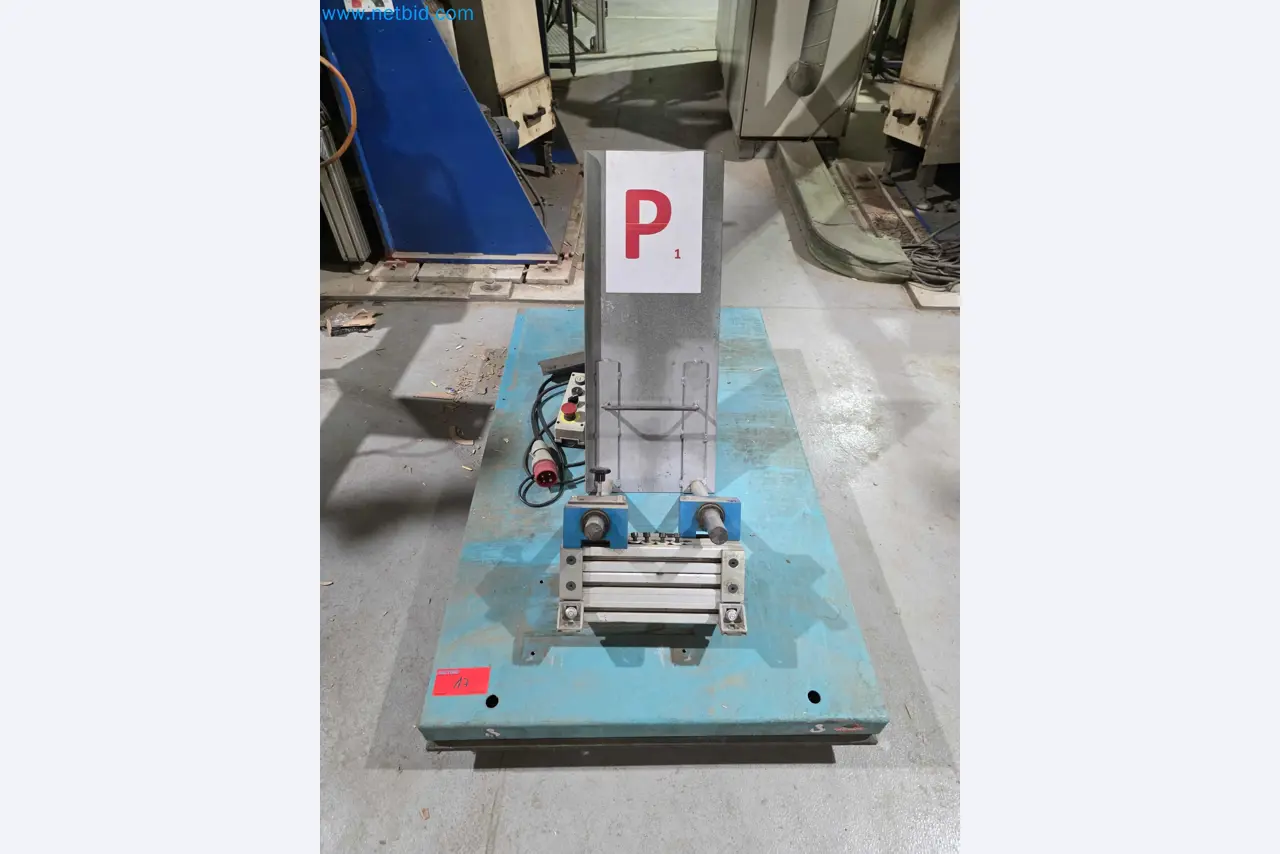 Likvidace podniku - Použité balicí stroje na balení ovoce a zeleniny (výrobní linka MDF)-1