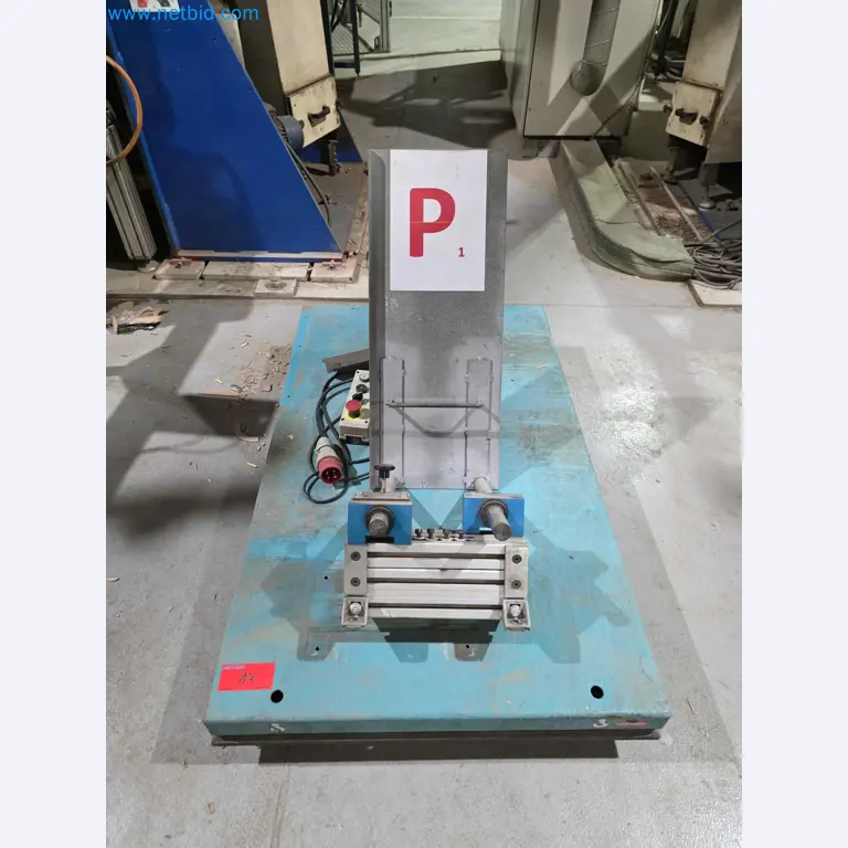 Likvidace podniku - Použité balicí stroje na balení ovoce a zeleniny (výrobní linka MDF)-1