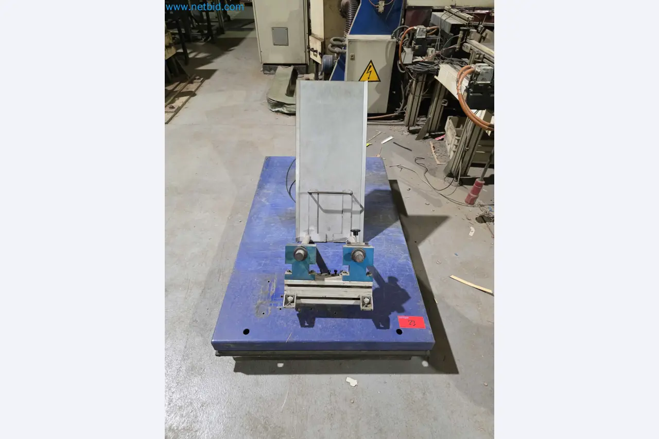 Likvidace podniku - Použité balicí stroje na balení ovoce a zeleniny (výrobní linka MDF)-2