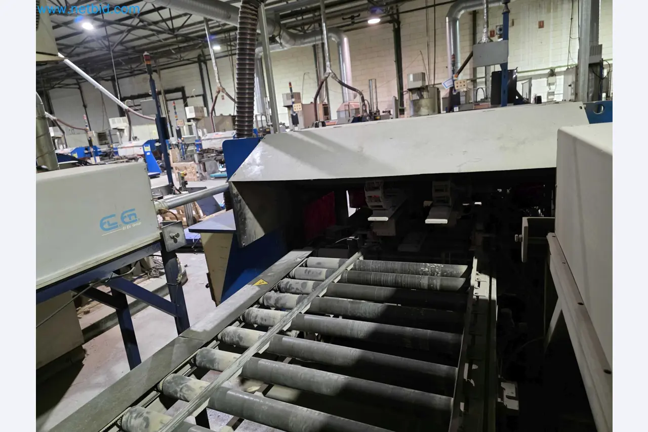 Liquidação de empresas - Máquinas de embalagem usadas para embalagem de frutas e legumes (linha de produção de MDF)-12