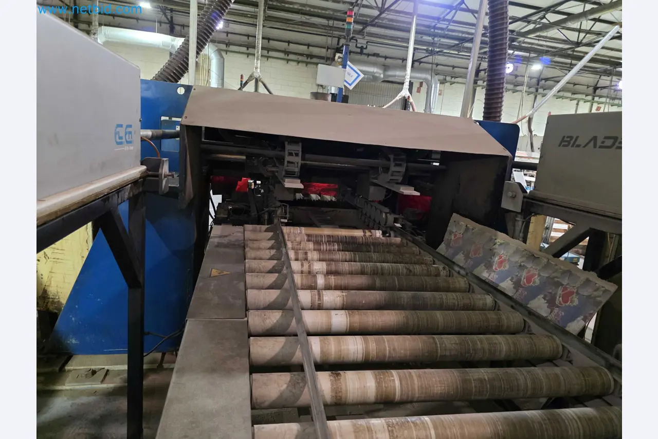 Liquidação de empresas - Máquinas de embalagem usadas para embalagem de frutas e legumes (linha de produção de MDF)-17