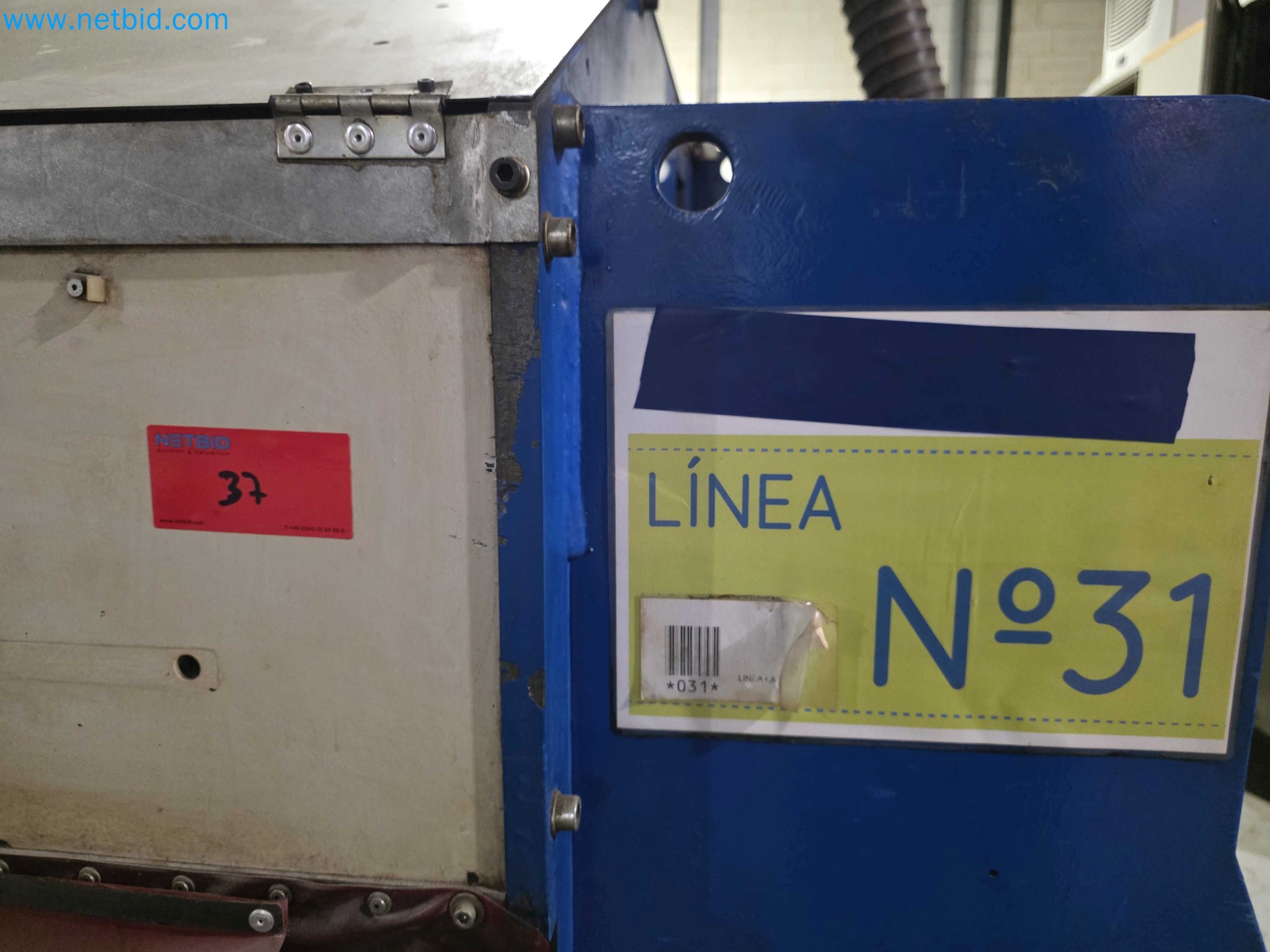 Liquidação de empresas - Máquinas de embalagem usadas para embalagem de frutas e legumes (linha de produção de MDF)-4