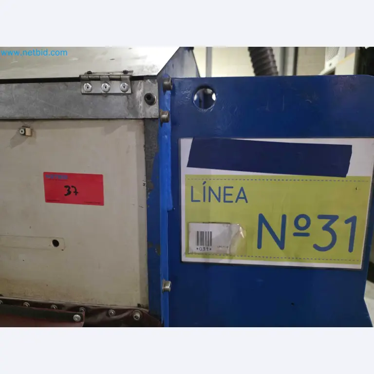 Liquidação de empresas - Máquinas de embalagem usadas para embalagem de frutas e legumes (linha de produção de MDF)-4